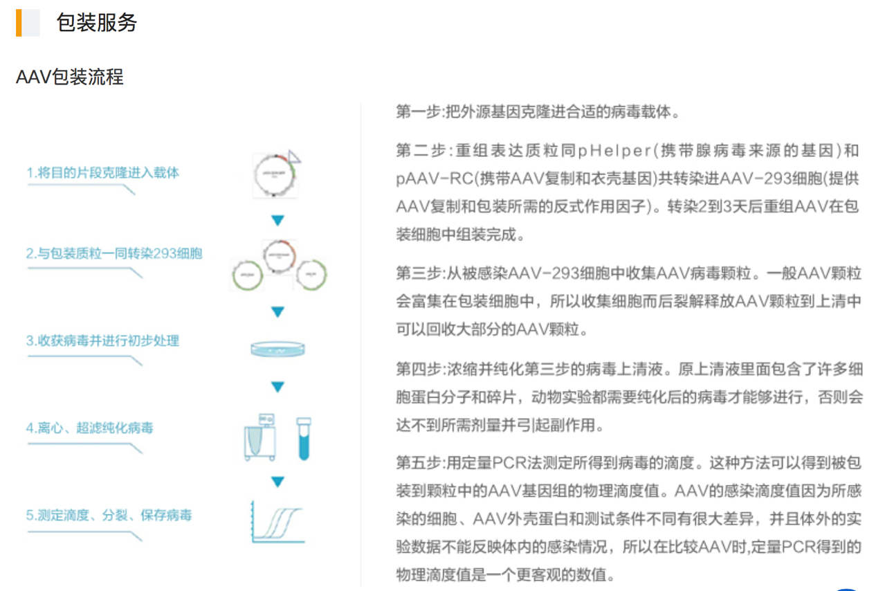 圖片2.png