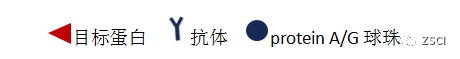 1-1.png