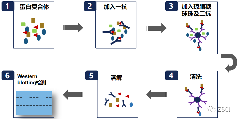 1-4.png